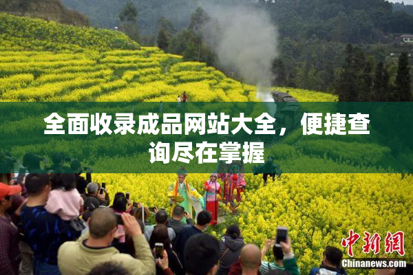 全面收录成品网站大全，便捷查询尽在掌握