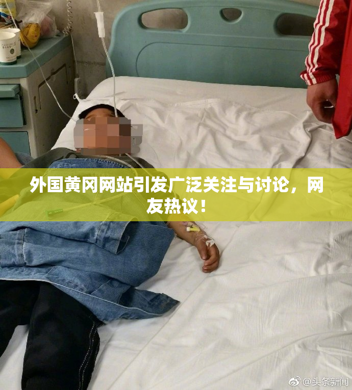 外国黄冈网站引发广泛关注与讨论，网友热议！