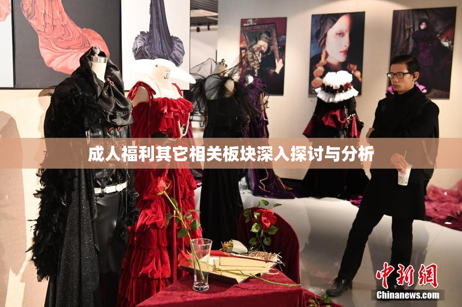 成人福利其它相关板块深入探讨与分析