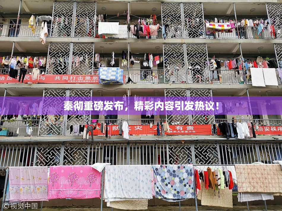 秦彻重磅发布，精彩内容引发热议！