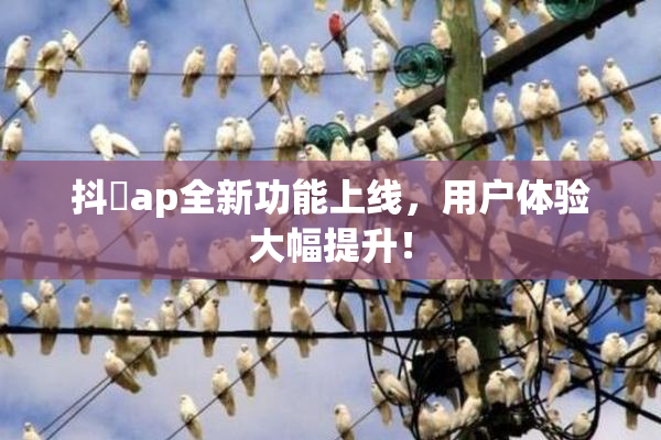 抖抈ap全新功能上线，用户体验大幅提升！