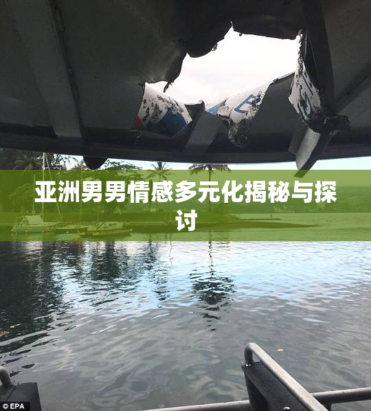 亚洲男男情感多元化揭秘与探讨
