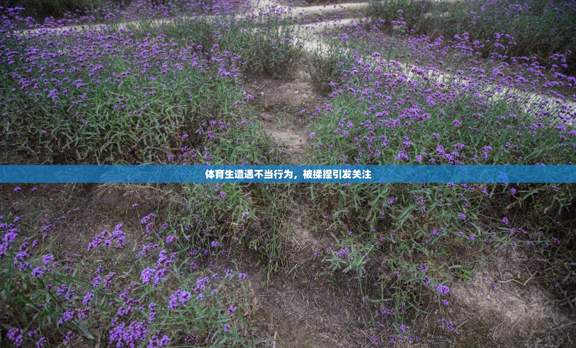 体育生遭遇不当行为，被揉捏引发关注