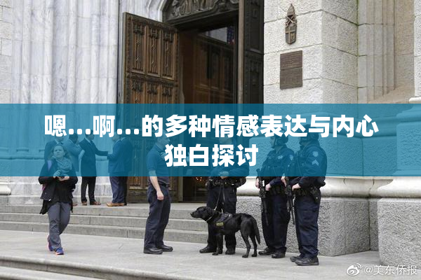 嗯…啊…的多种情感表达与内心独白探讨