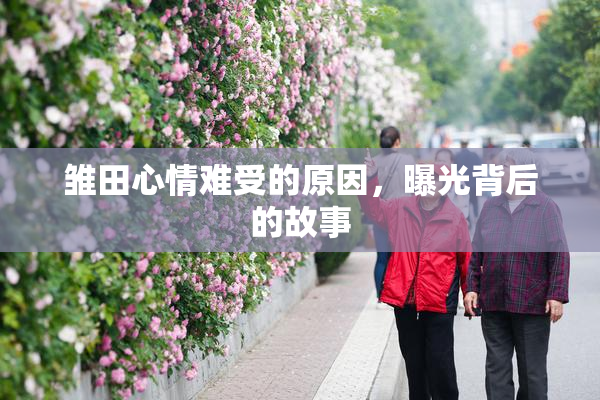 雏田心情难受的原因，曝光背后的故事