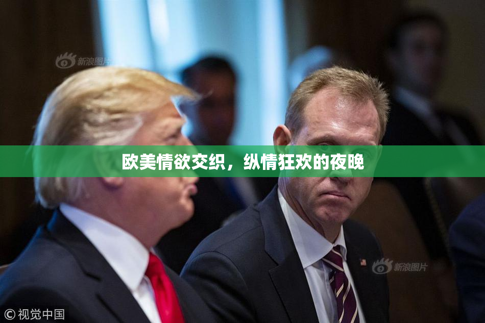 欧美情欲交织，纵情狂欢的夜晚