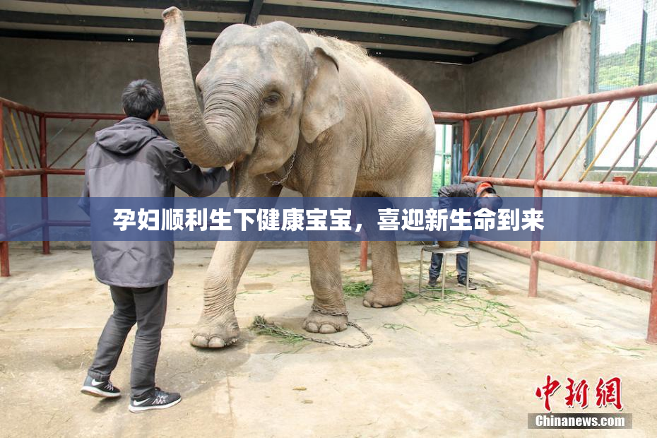 孕妇顺利生下健康宝宝，喜迎新生命到来