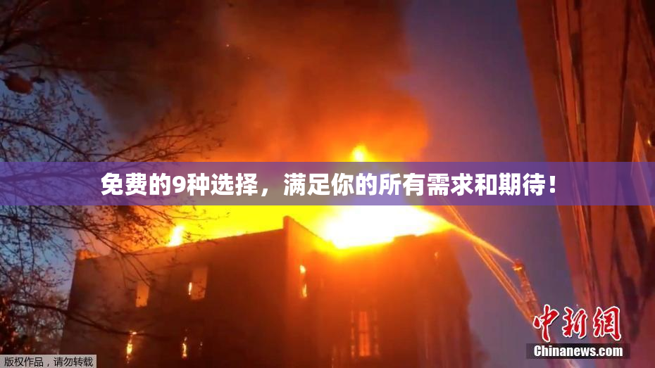 免费的9种选择，满足你的所有需求和期待！