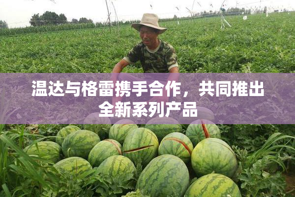 温达与格雷携手合作，共同推出全新系列产品
