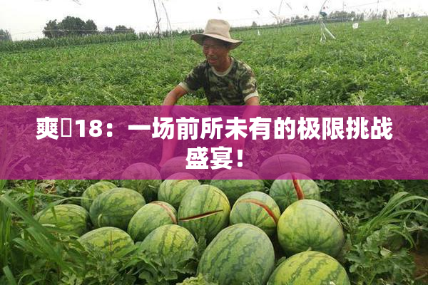 爽擼18：一场前所未有的极限挑战盛宴！