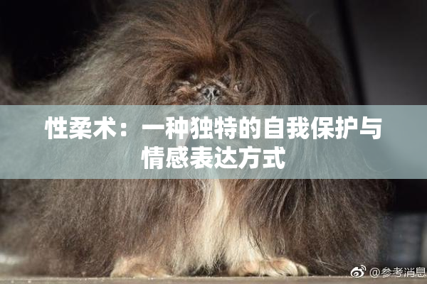 性柔术：一种独特的自我保护与情感表达方式