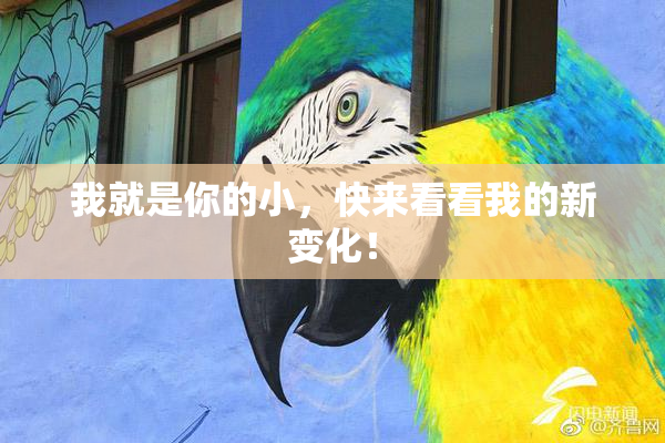 我就是你的小，快来看看我的新变化！