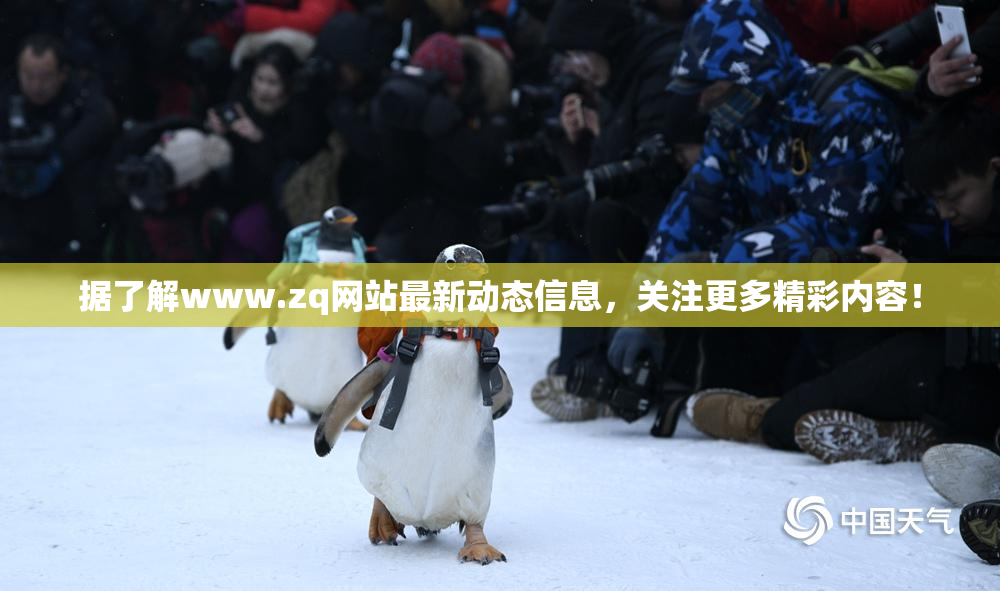 据了解www.zq网站最新动态信息，关注更多精彩内容！