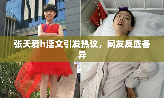 张天爱h淫文引发热议，网友反应各异