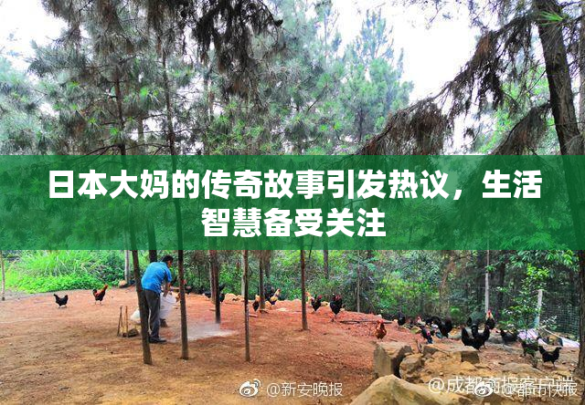 日本大妈的传奇故事引发热议，生活智慧备受关注