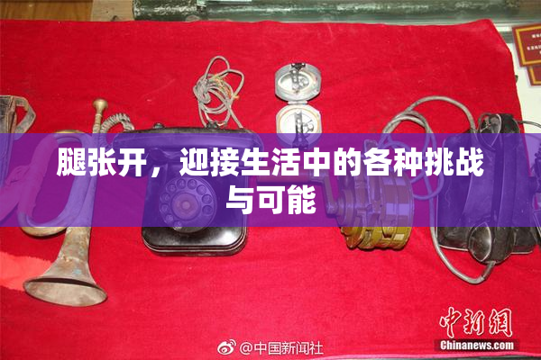 腿张开，迎接生活中的各种挑战与可能