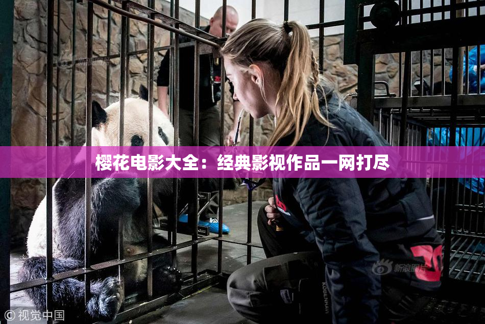 樱花电影大全：经典影视作品一网打尽