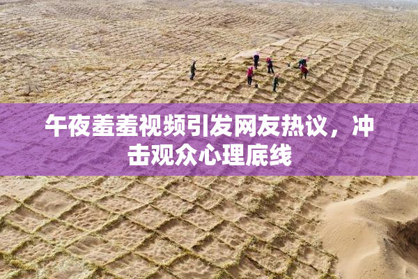 午夜羞羞视频引发网友热议，冲击观众心理底线