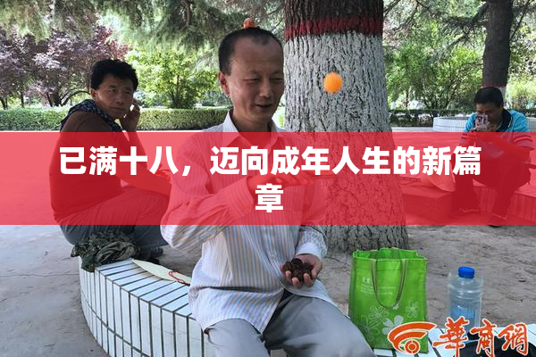 已满十八，迈向成年人生的新篇章