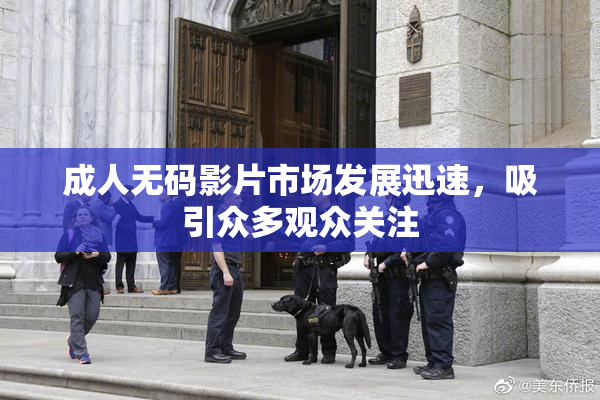 成人无码影片市场发展迅速，吸引众多观众关注