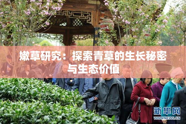 嫩草研究：探索青草的生长秘密与生态价值