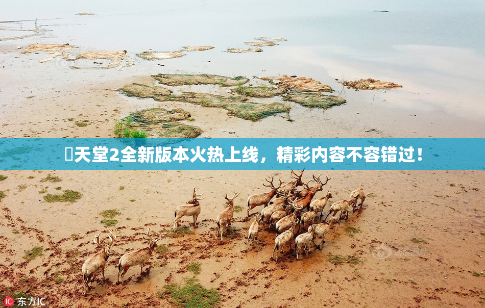 妺天堂2全新版本火热上线，精彩内容不容错过！