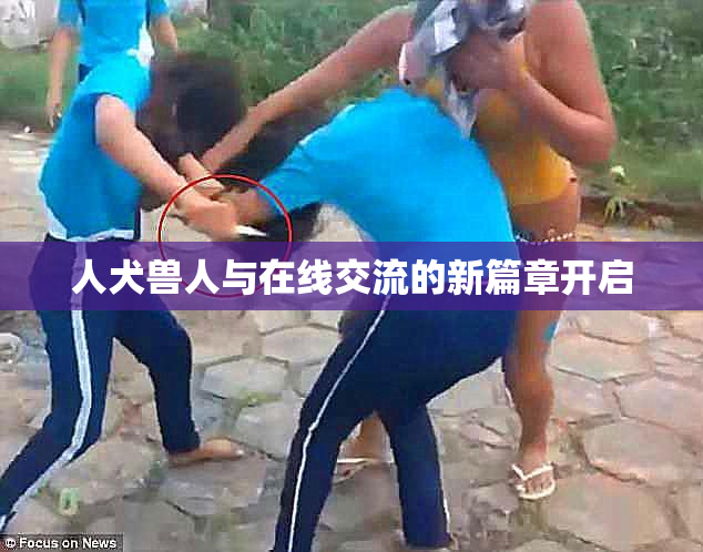 人犬兽人与在线交流的新篇章开启