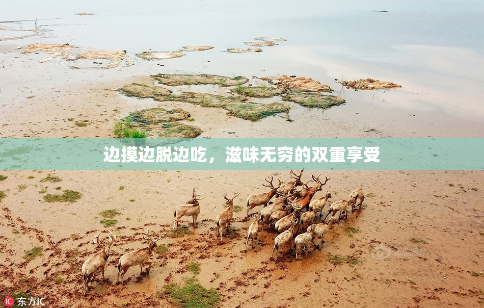 边摸边脱边吃，滋味无穷的双重享受