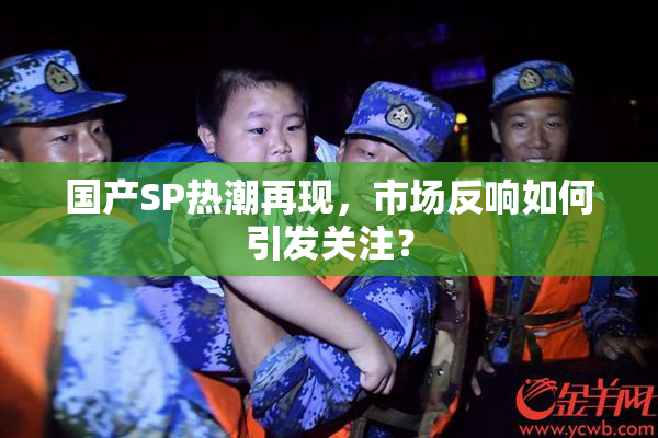 国产SP热潮再现，市场反响如何引发关注？