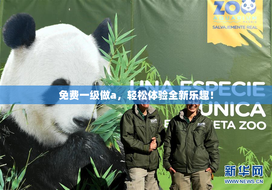 免费一级做a，轻松体验全新乐趣！