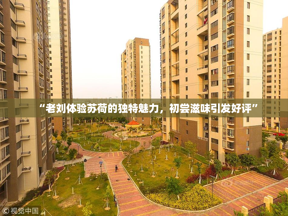 “老刘体验苏荷的独特魅力，初尝滋味引发好评”