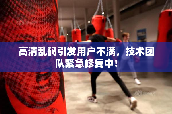 高清乱码引发用户不满，技术团队紧急修复中！