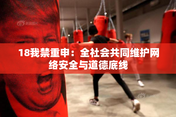 18我禁重申：全社会共同维护网络安全与道德底线