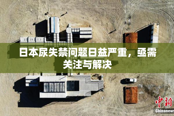 日本尿失禁问题日益严重，亟需关注与解决