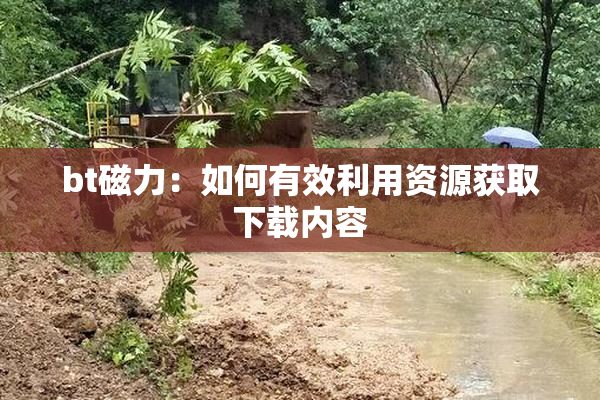 bt磁力：如何有效利用资源获取下载内容
