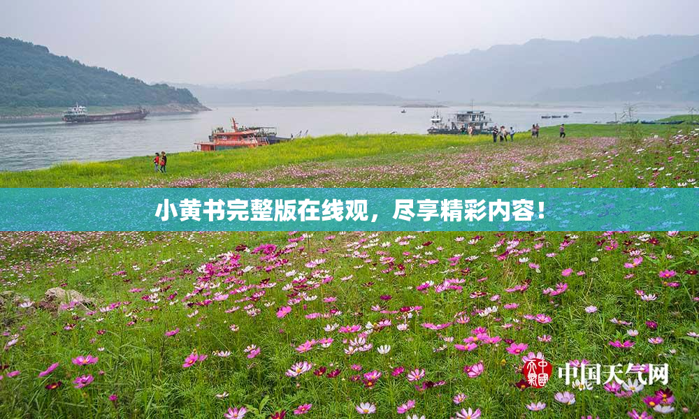 小黄书完整版在线观，尽享精彩内容！