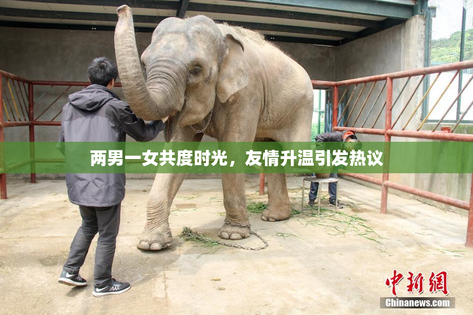 两男一女共度时光，友情升温引发热议
