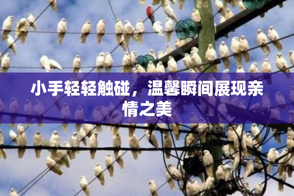 小手轻轻触碰，温馨瞬间展现亲情之美