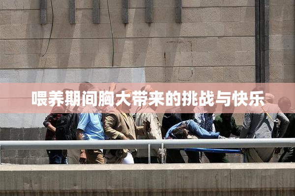 喂养期间胸大带来的挑战与快乐