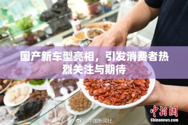 国产新车型亮相，引发消费者热烈关注与期待