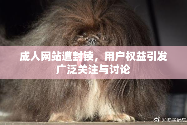 成人网站遭封锁，用户权益引发广泛关注与讨论