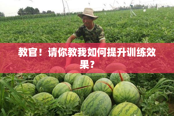 教官！请你教我如何提升训练效果？