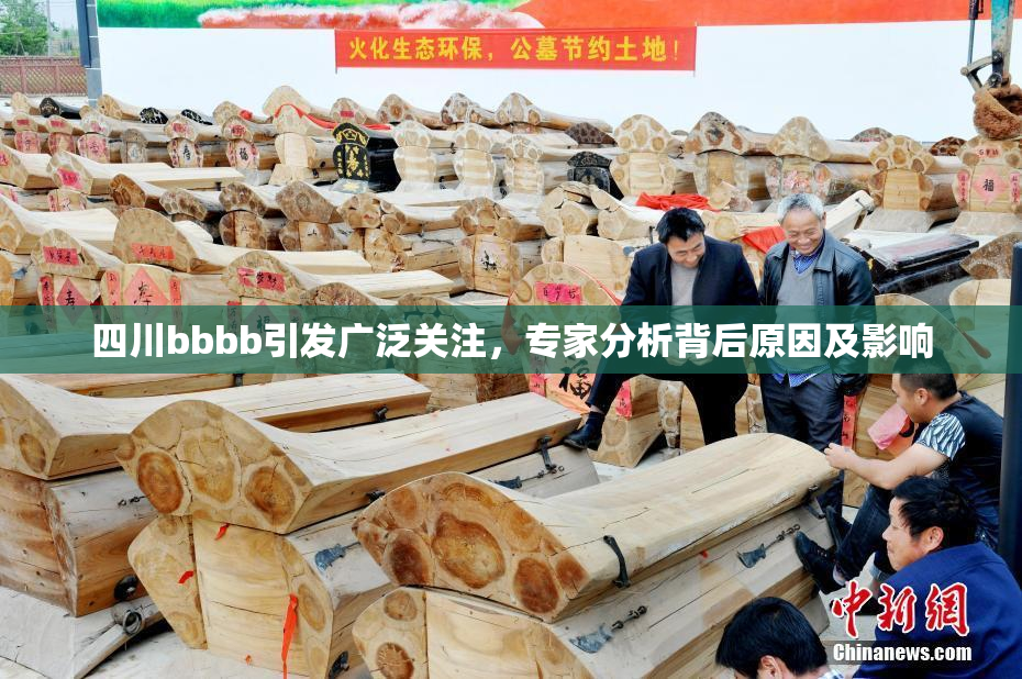 四川bbbb引发广泛关注，专家分析背后原因及影响