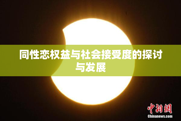 同性恋权益与社会接受度的探讨与发展
