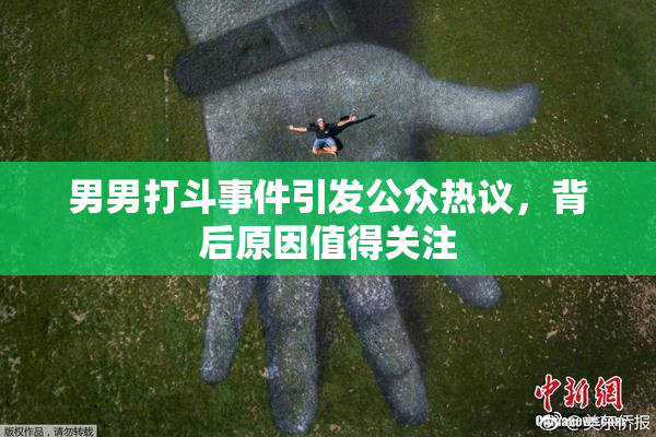 男男打斗事件引发公众热议，背后原因值得关注