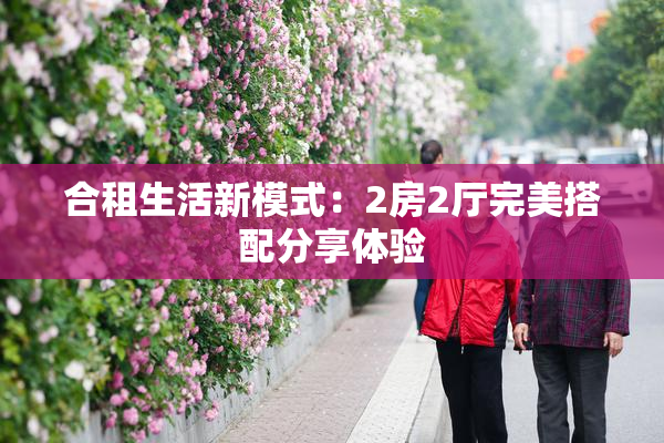 合租生活新模式：2房2厅完美搭配分享体验
