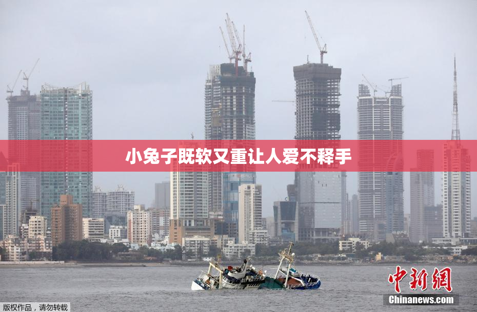 小兔子既软又重让人爱不释手