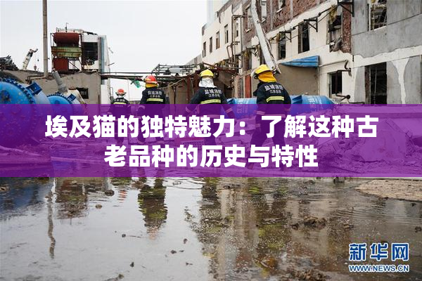 埃及猫的独特魅力：了解这种古老品种的历史与特性