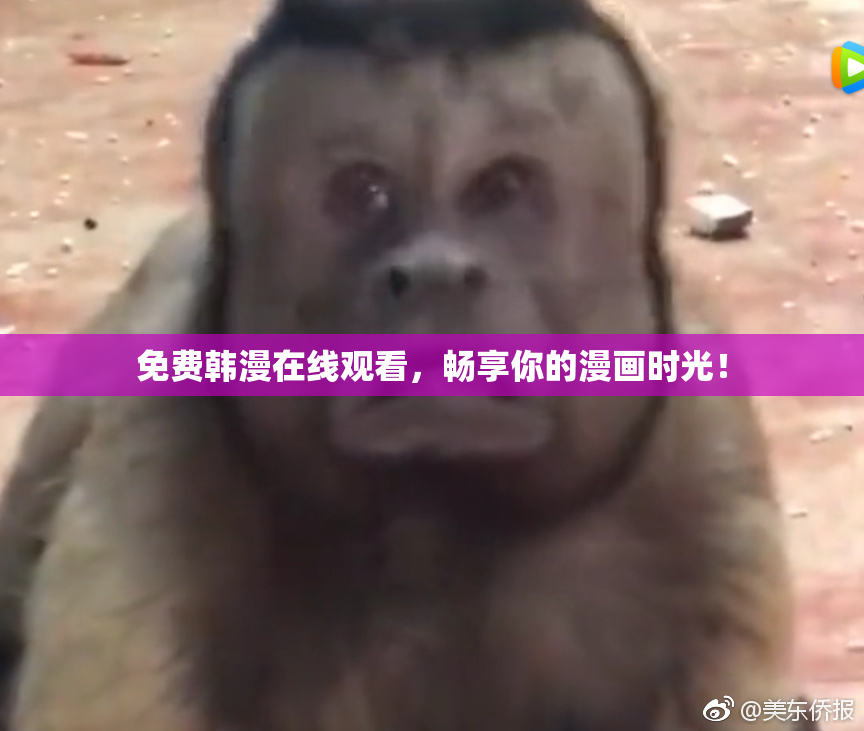 免费韩漫在线观看，畅享你的漫画时光！