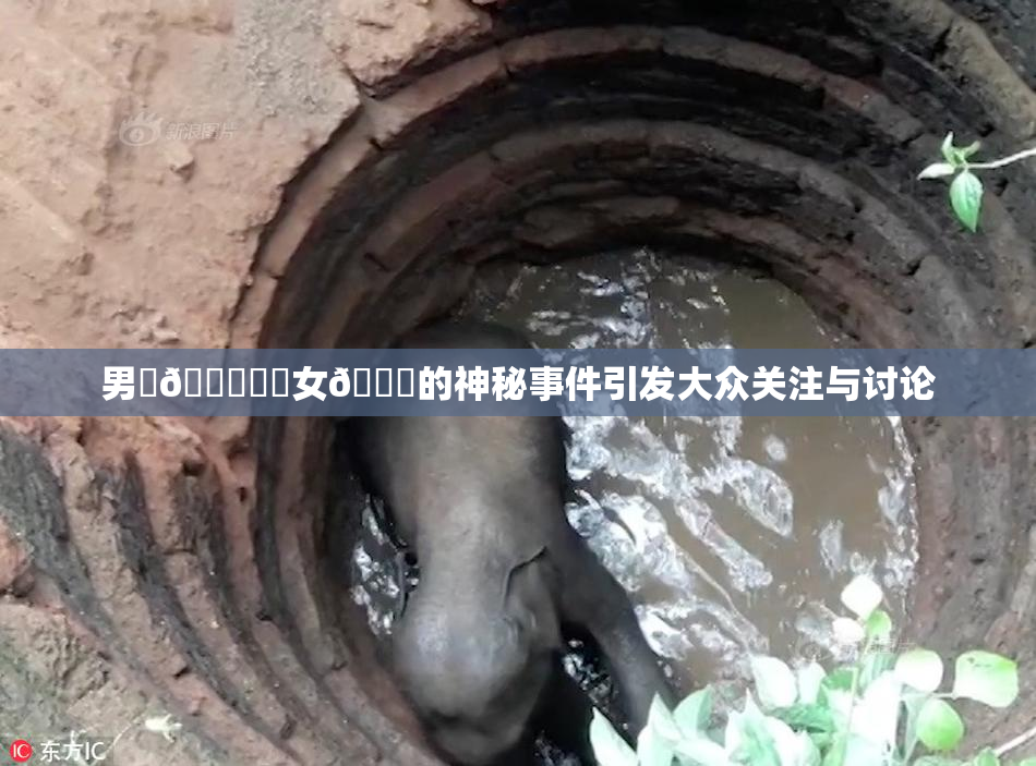 男‌🍌❌‌女🍑的神秘事件引发大众关注与讨论